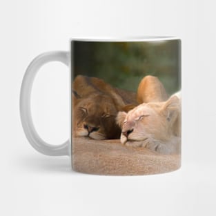 Sleeping lions Mug